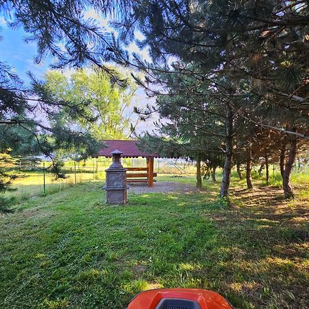 Apartamenty Jasmin I Lilia Jez. Sunowo Kolo Elku Chrzanowo Экстерьер фото